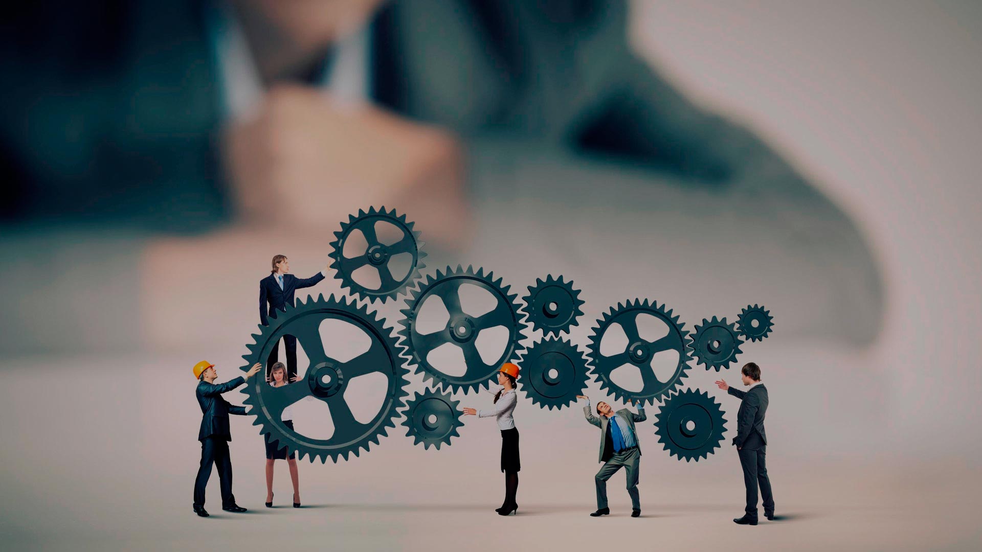 bcfox soluções completas para sua empresa